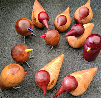 vogels 8 sept